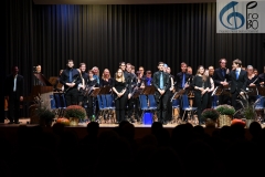 Konzert ProBO 2018 (14)