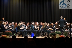 Konzert ProBO 2018 (9)